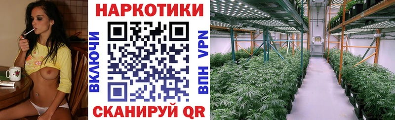 Наркошоп купить Амфетамин  Бошки Шишки  Мефедрон  ГАШИШ  Данков