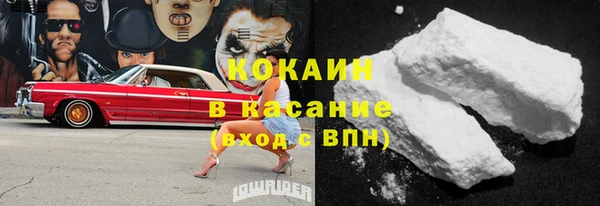 хмурый Лиски