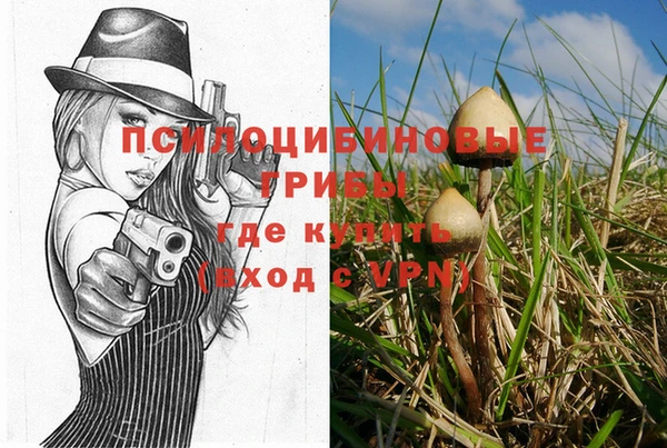 хмурый Лиски