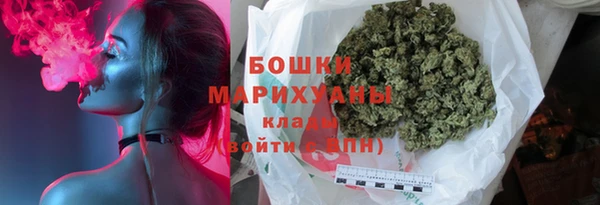хмурый Лиски