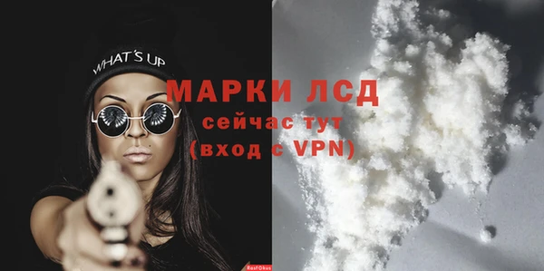 хмурый Лиски