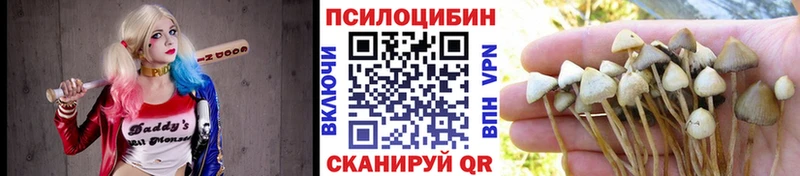 Псилоцибиновые грибы Psilocybine cubensis  Купить закладки  Данков 
